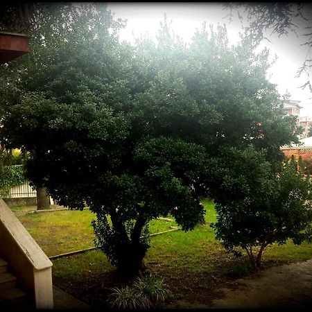 La Casa Degli Oleandri Ξενοδοχείο Ρώμη Εξωτερικό φωτογραφία