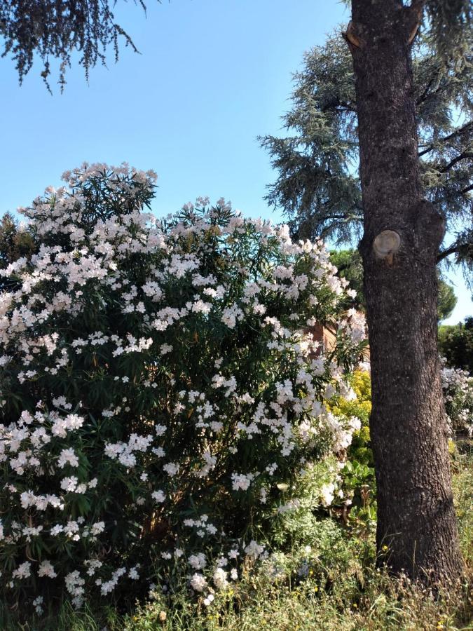 La Casa Degli Oleandri Ξενοδοχείο Ρώμη Εξωτερικό φωτογραφία